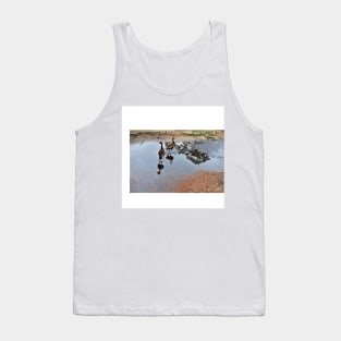 ducks in park the wetland landscape with lovely birds Tank Top